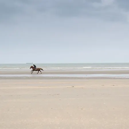 Appaanzee Apartment De Panne